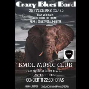 Crazy Blues Band